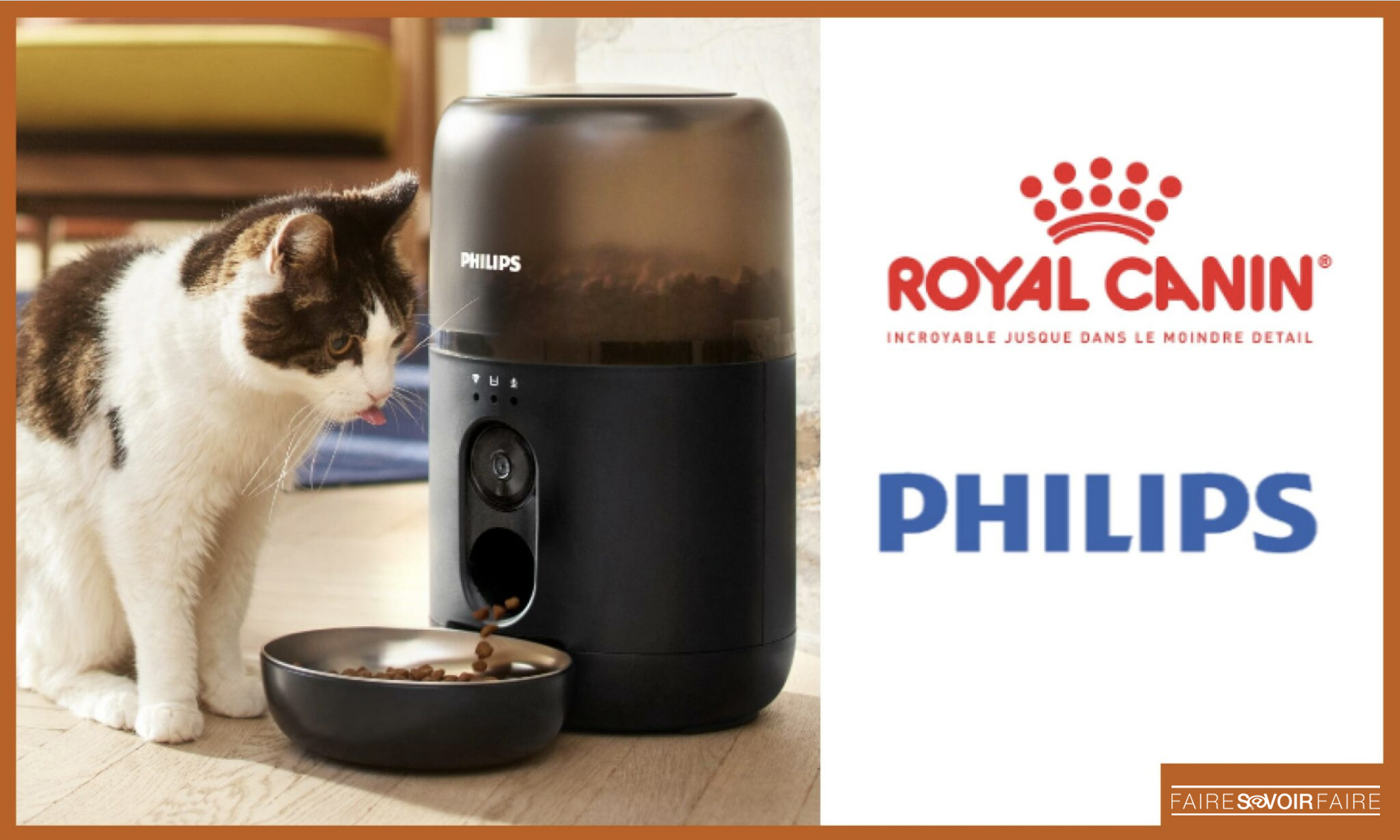 Philips déploie Pet Series, une gamme d’appareils connectés dédiés aux animaux de compagnie